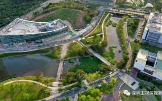 南方科技大学学 建校仅11年的南科大，凭什么跻身“双一流”？专家解读来了