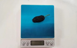 datacolor软件下载 维生素C是蓝莓的4倍，吃它好处太多了！