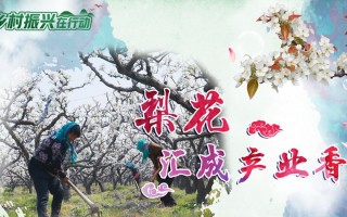 梨香网络科技 花开四季“香”约云南丨“住在梨香花海里”网络主题宣传活动启动